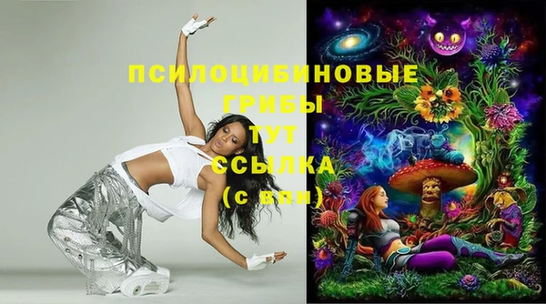 Альфа ПВП Балахна