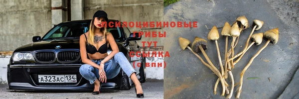 ПСИЛОЦИБИНОВЫЕ ГРИБЫ Балабаново
